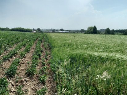 Продам земельну ділянку- Обмін Корец