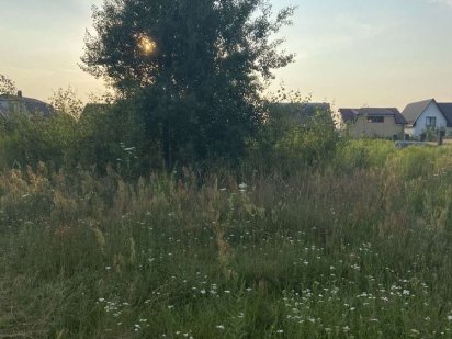 Продається земельна ділянка Дубровиця