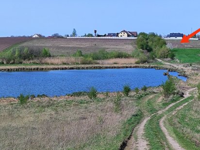 Земельна ділянка неподалік міста Великий Житин