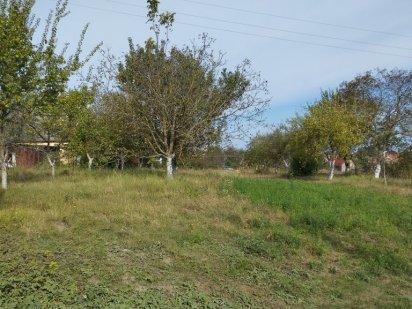 % Продам земельну ділянку 15 сот.Великий Житин Великий Житин