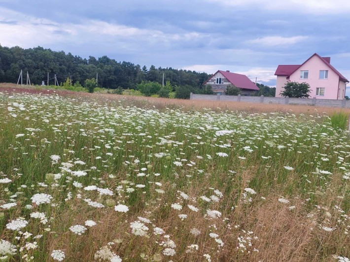 Продам рівну ділянку  перша лінія біля лісу - фото 1