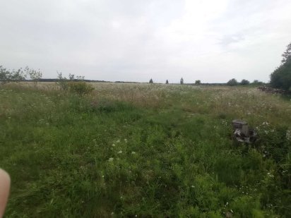 Земельна ділянка