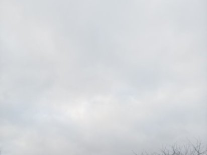 Земельный участок. Путивль