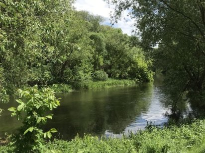 Продається земельна ділянка (біля річки) м.Чортків Чертков