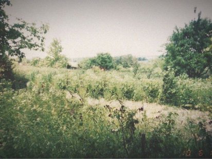 Продається Дачний участок  в Чорному лісі Чертков