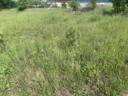 Земельна ділянка під забудову (для будівництва житлового будинку) Петриків