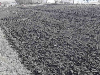 Продається земельна ділянка Петриків