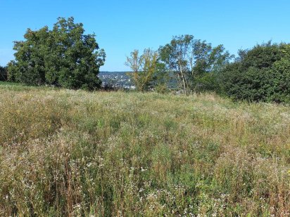 Приватизована земельна ділянка 0,42га Теребовля