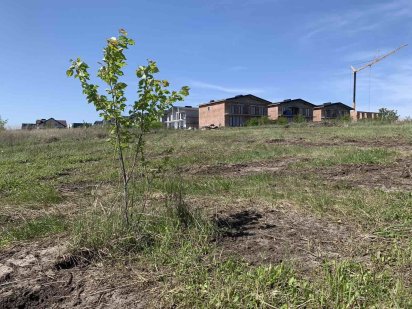 Продаж рівної  ділянки Байківці Байківці