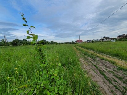 Продаж ділянки під житлову забудову в Байківцях 32 сотки Байківці