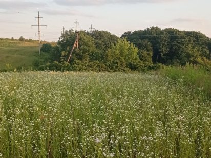 Земельна ділянка Белая