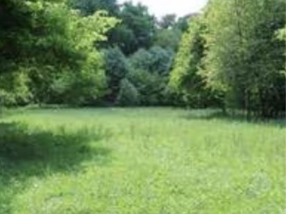 Земельна дільнка з будинком Почаїв