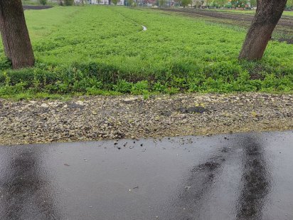 Земельна ділянка