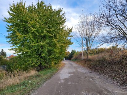 Продаж земельної ділянки 28 соток в Гаях Гречинських Гаї Гречинські