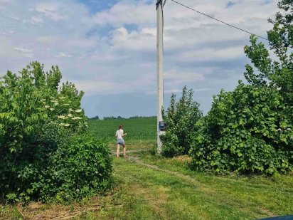 Земельна ділянка 12.5 Великие Гаи