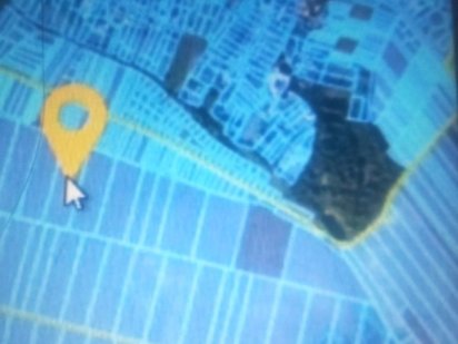 Продаж землі сільськогосподарського призначення Великие Гаи