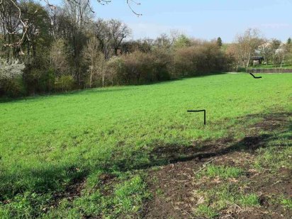 Земельна ділянка