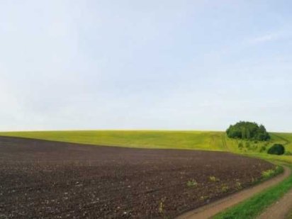 Продам пай /для сільськогосподарського призначення ТЕРМІНОВО Подволочиск