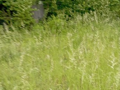 Продається земельна ділянка в с. Смиківці Смиківці