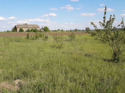 Продаю земельну ділянку с.Великі Бірки Великие Борки