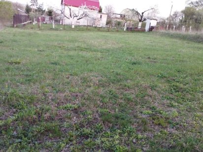 Дачна ділянка, Петрики Большая Березовица