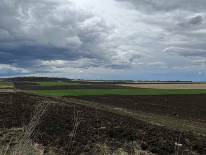 Земельна ділянка для індивідуального садівництва.