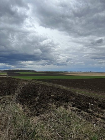 Земельна ділянка для індивідуального садівництва. - фото 1