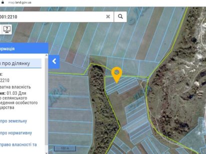 Продаж земельної ділянки сільськогосподарського призначення Великий Глибочок