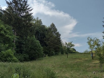 Земельна ділянка Великий Глибочок Великий Глибочок