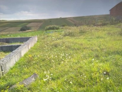 Земельна ділянка, план Козова