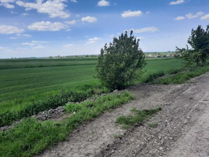 Земельна ділянка Лановцы