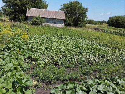 Земельна ділянка з будовою неподалік 2 школи Лановцы