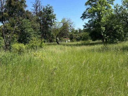 Земельный участок Кулиничи