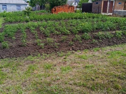 Земельна ділянка Кулиничи