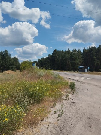 Продам участок.  на трассе      Ольховатка Нововодолажский район - фото 1