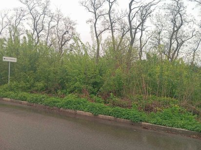 Продам приватизовану земельну ділянку в Малій Данилівці Мала Данилівка