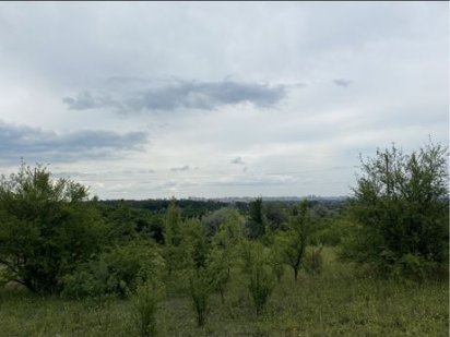 Земельный участок Большая Даниловка Мала Данилівка