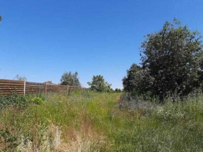 Продається в Малій Данилівці, с. Лужок, ділянка 11 соток