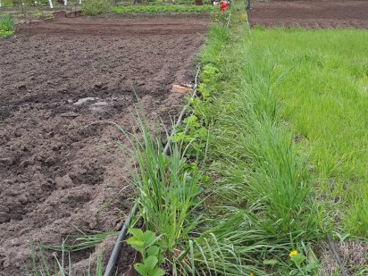 Продам дачный участок, дачу Бабаи