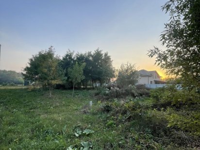 Продаж земельної ділянки 10 соток Лісові Гринівціі