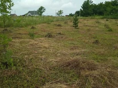 Ділянка село Лісові Гринівці Лесные Гриновцы