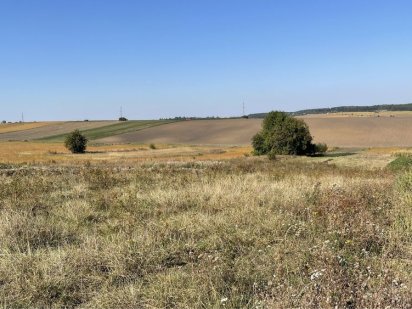 Земельна ділянка для затишного дому всього за 4км від міста. HH