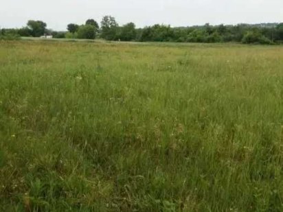 Ділянка Дехтярка Молодіжний Сонячний Лісові Гринівці свої, ріелторам % Лесные Гриновцы