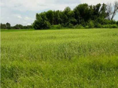 Продам земельну ділянку.