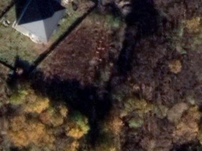 Продам земельну дiлянку бiля лicу, дехтярка 10соток Лесные Гриновцы