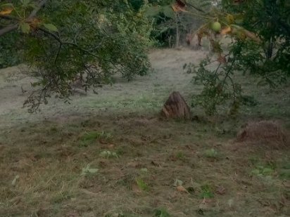 Земельна ділянка Лесные Гриновцы