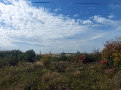 Продам ділянку Озерна Лесные Гриновцы