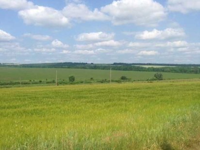 Продаж земельної ділянки 25 соток! Лесные Гриновцы