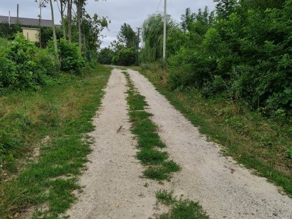 Продаж 41 соток Лісові Гринівці