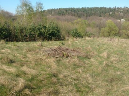 Земельна ділянка с/г, 1 га Красилов